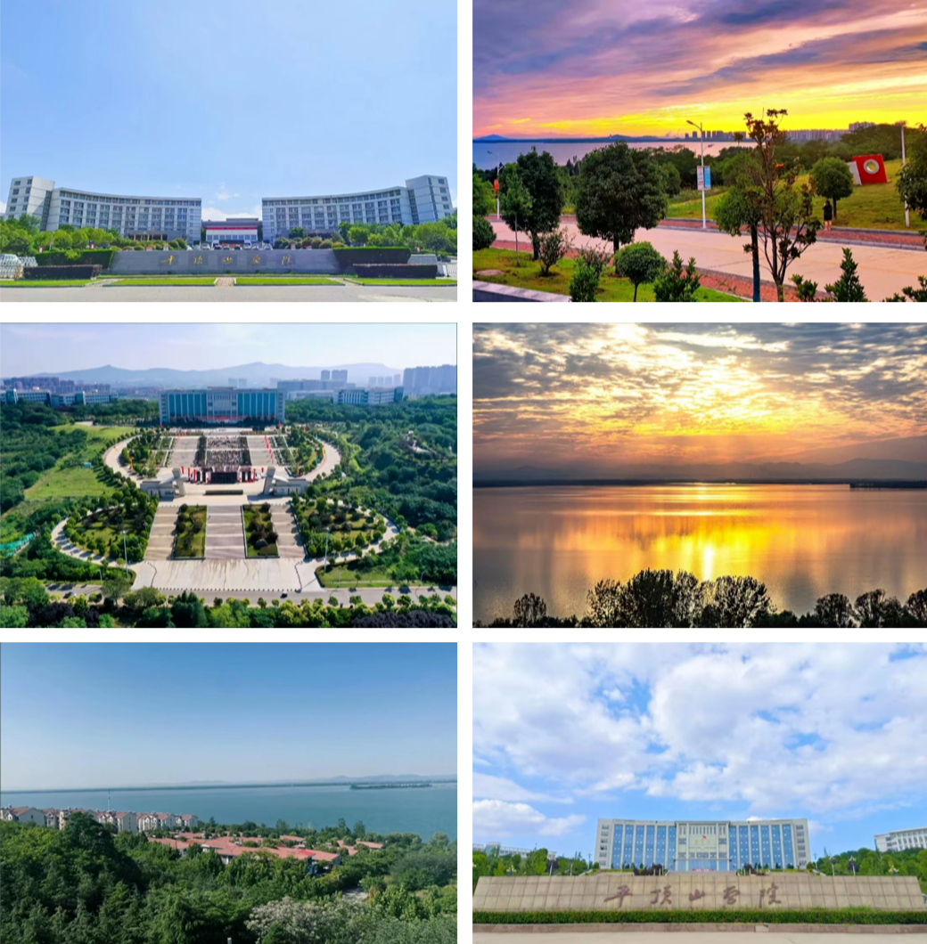 图片8.png
