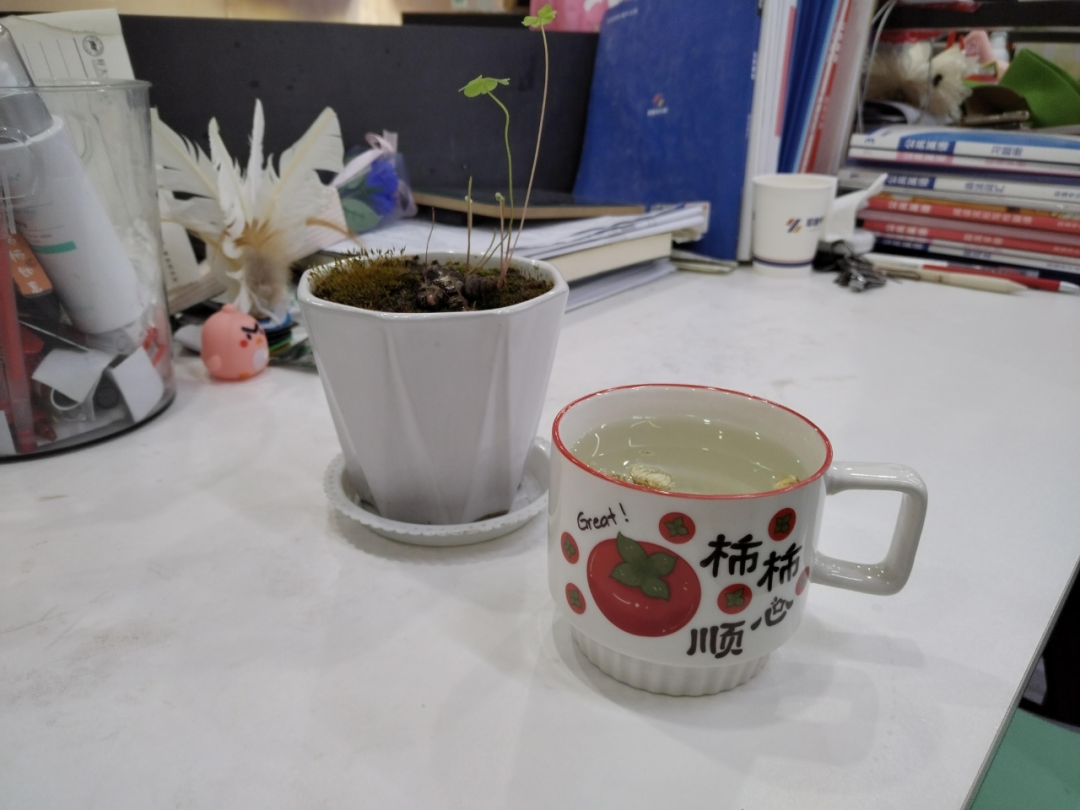 1764058553851519.png 640 (1).png