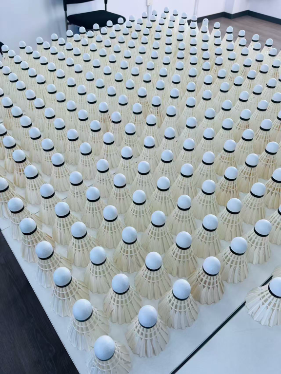 1764236006170429.png 640 (31).png