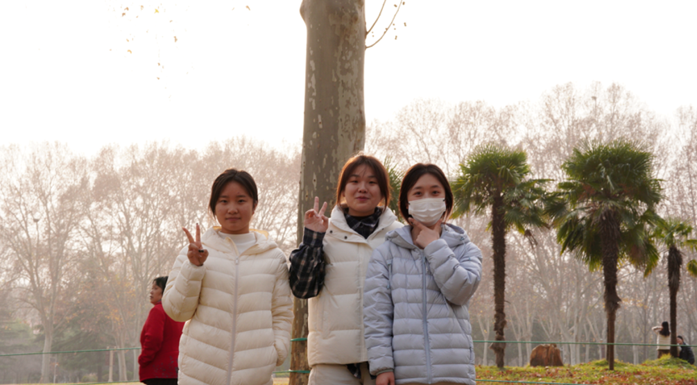 1765090569706147.png 02.png